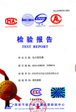 贵港电力变压器检测报告